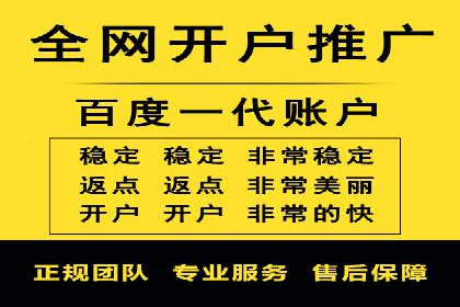 SEM主管实战案例：广告投放策略优化